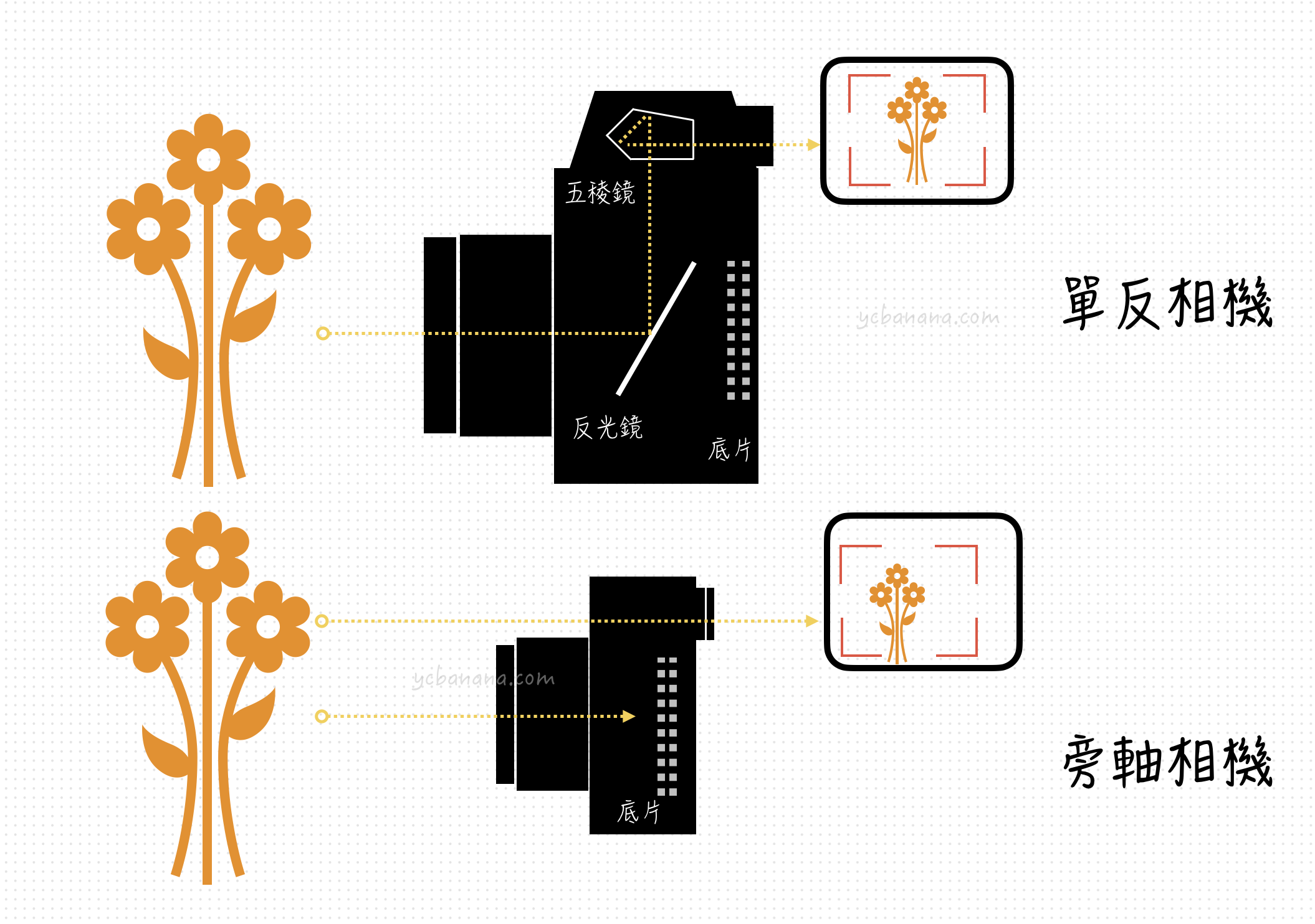 什麼是旁軸底片相機 RF推薦