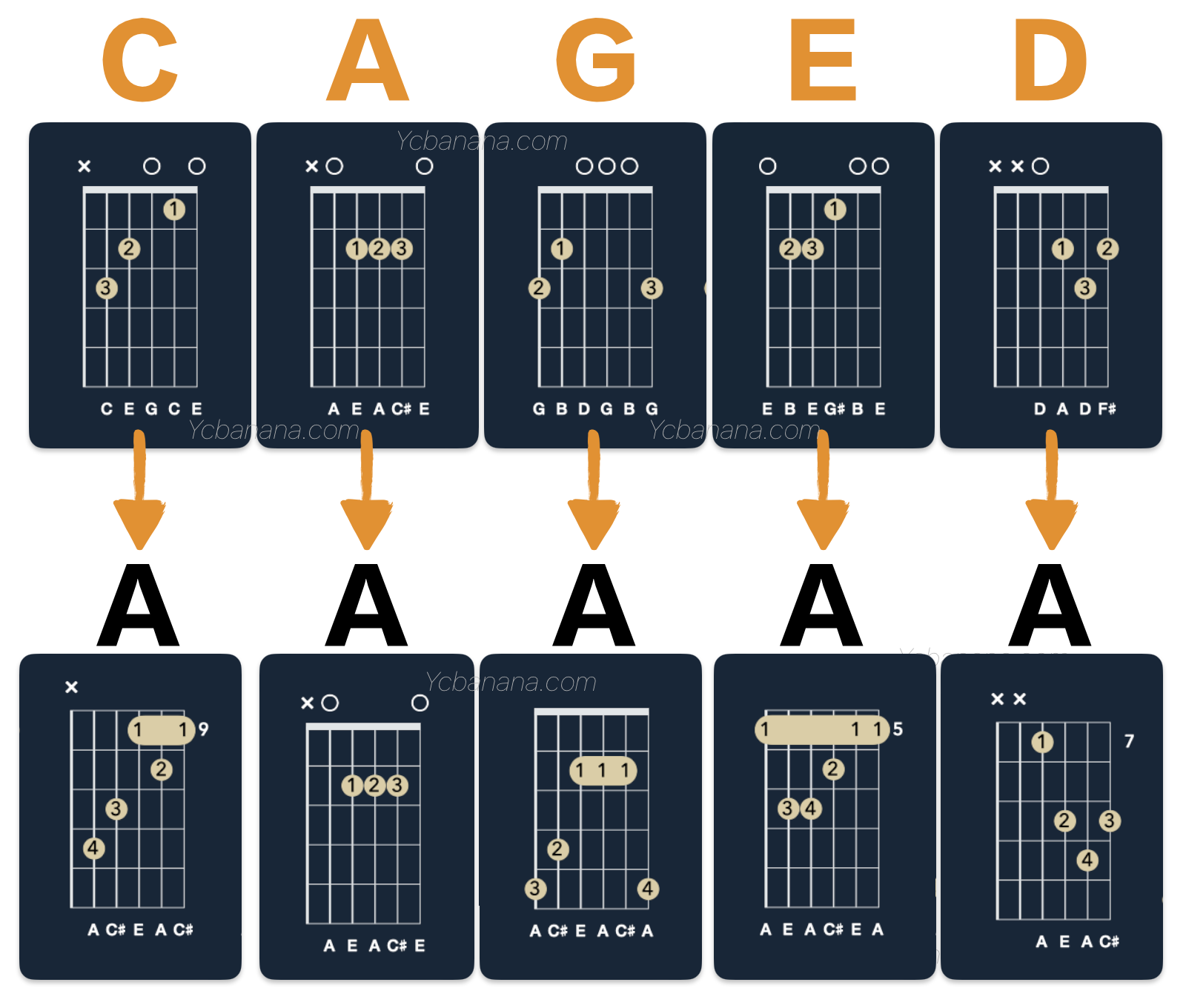 吉他CAGED A和弦指形