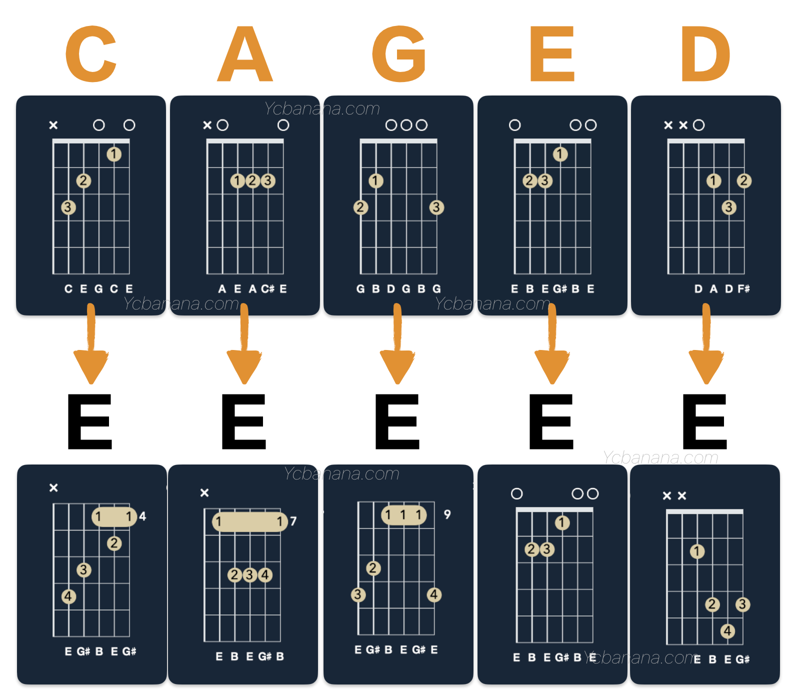 吉他CAGED E和弦指形