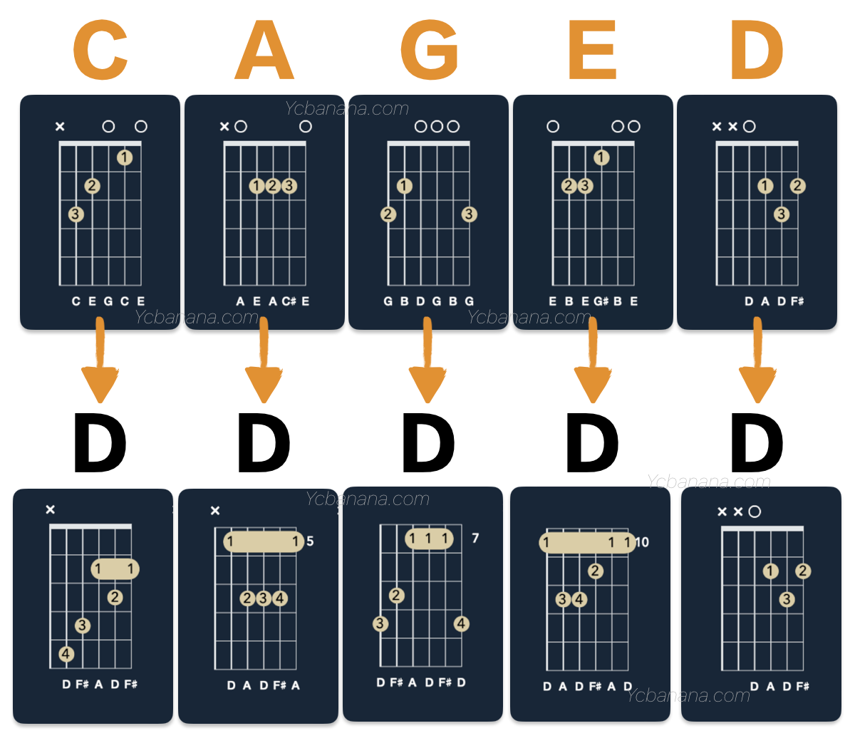 CAGED D和弦指形