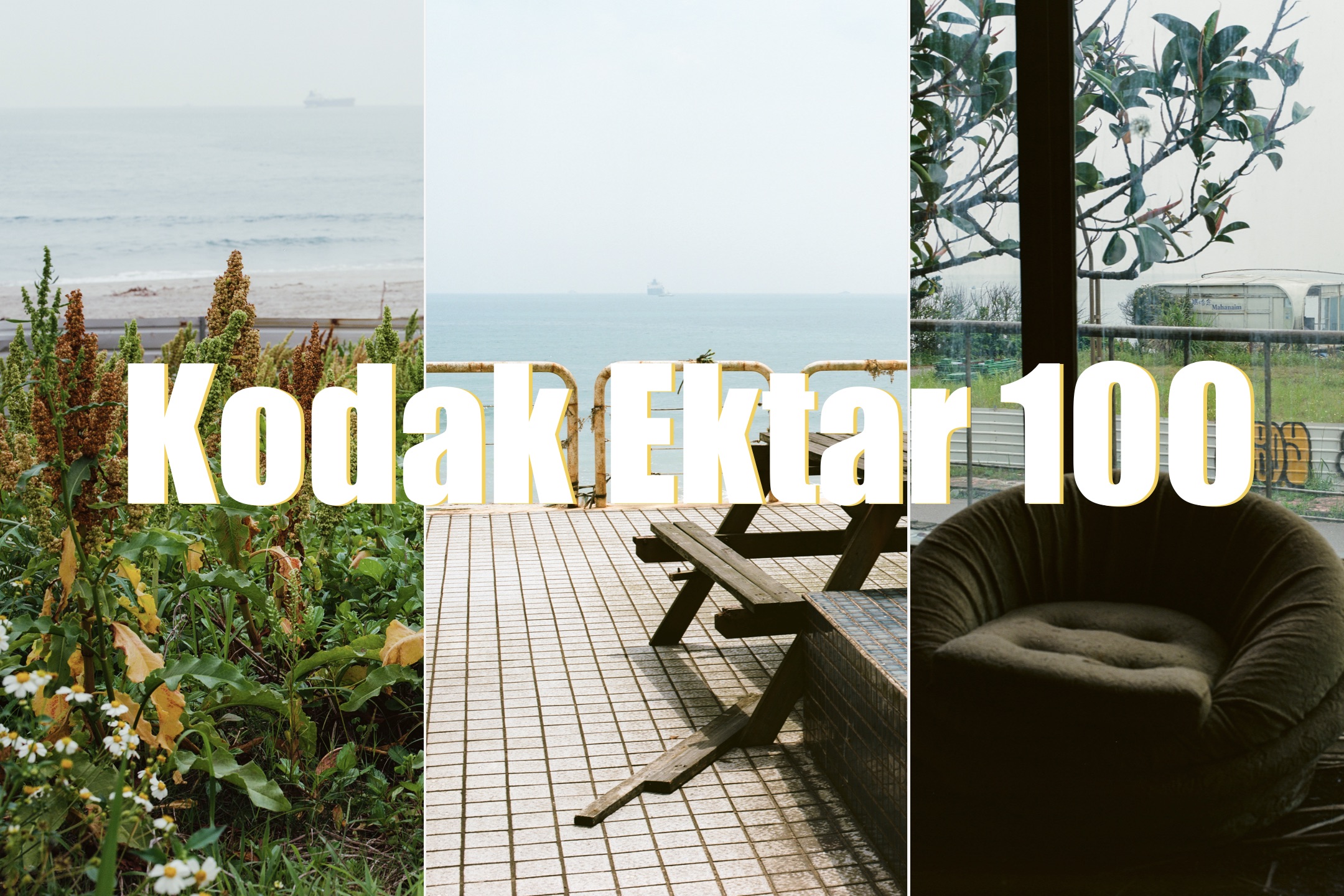 Kodak Ektar 100 120底片實拍